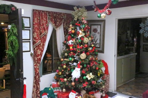 Holiday Party — North Lake Villas